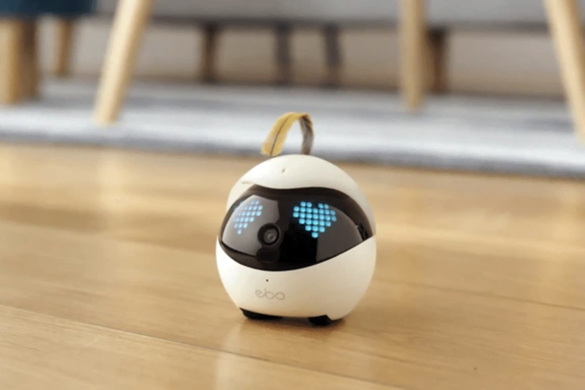 Enabot Ebo Familybot: Your Moving Camera at Home