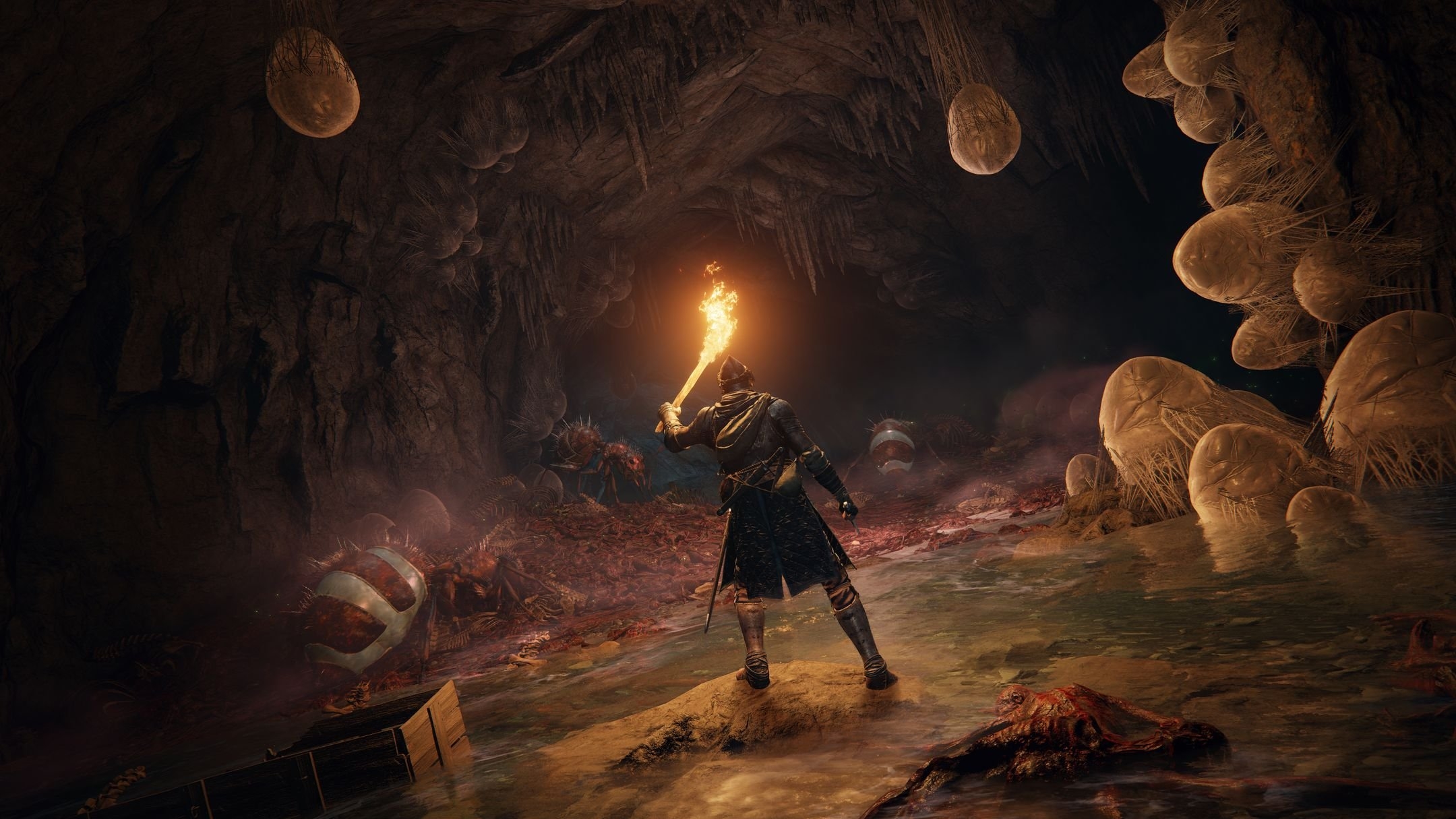 Review: Elden Ring is Held Back by Its PC Performance - Siliconera