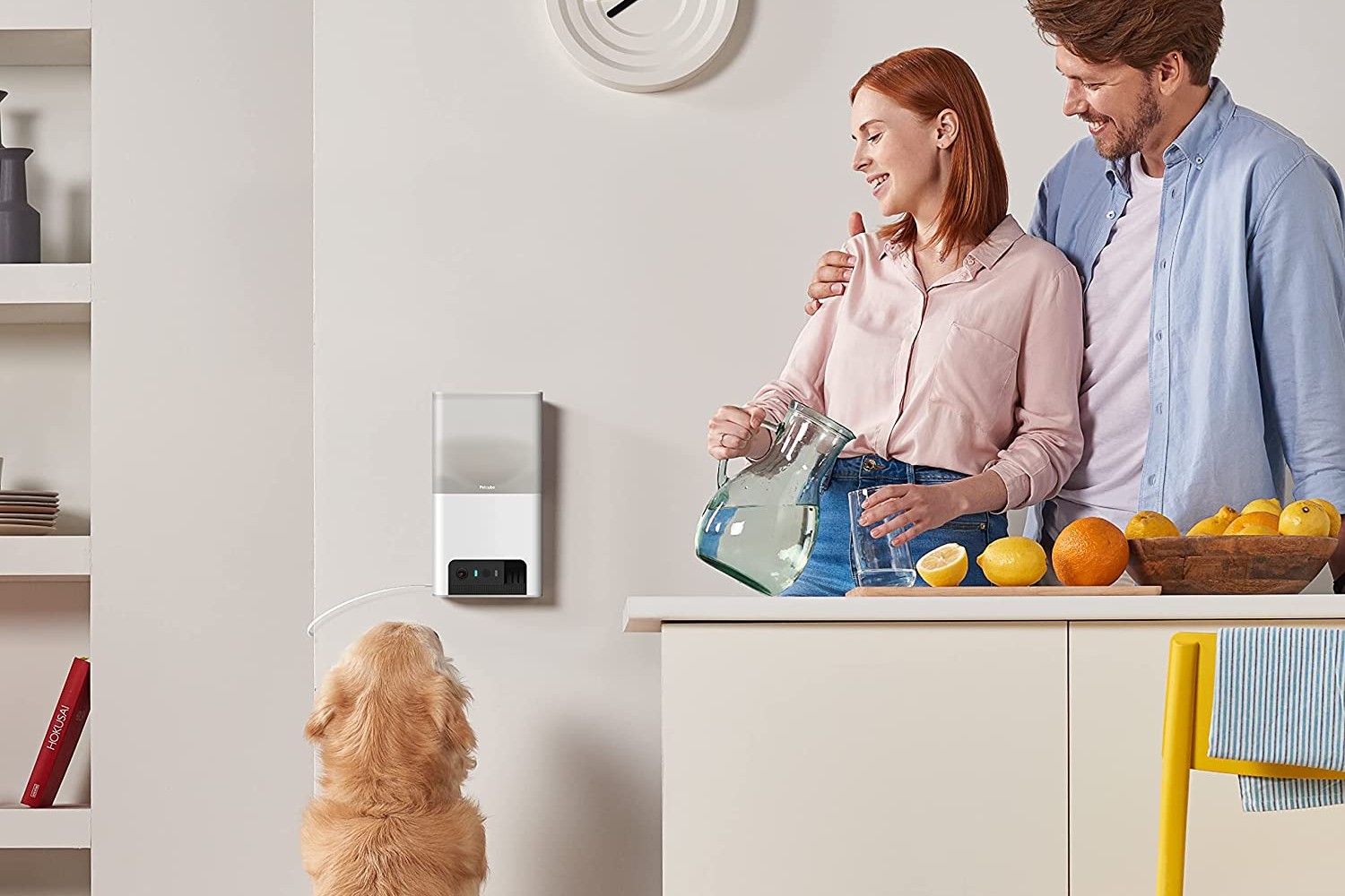 Petcube bites treat outlet camera