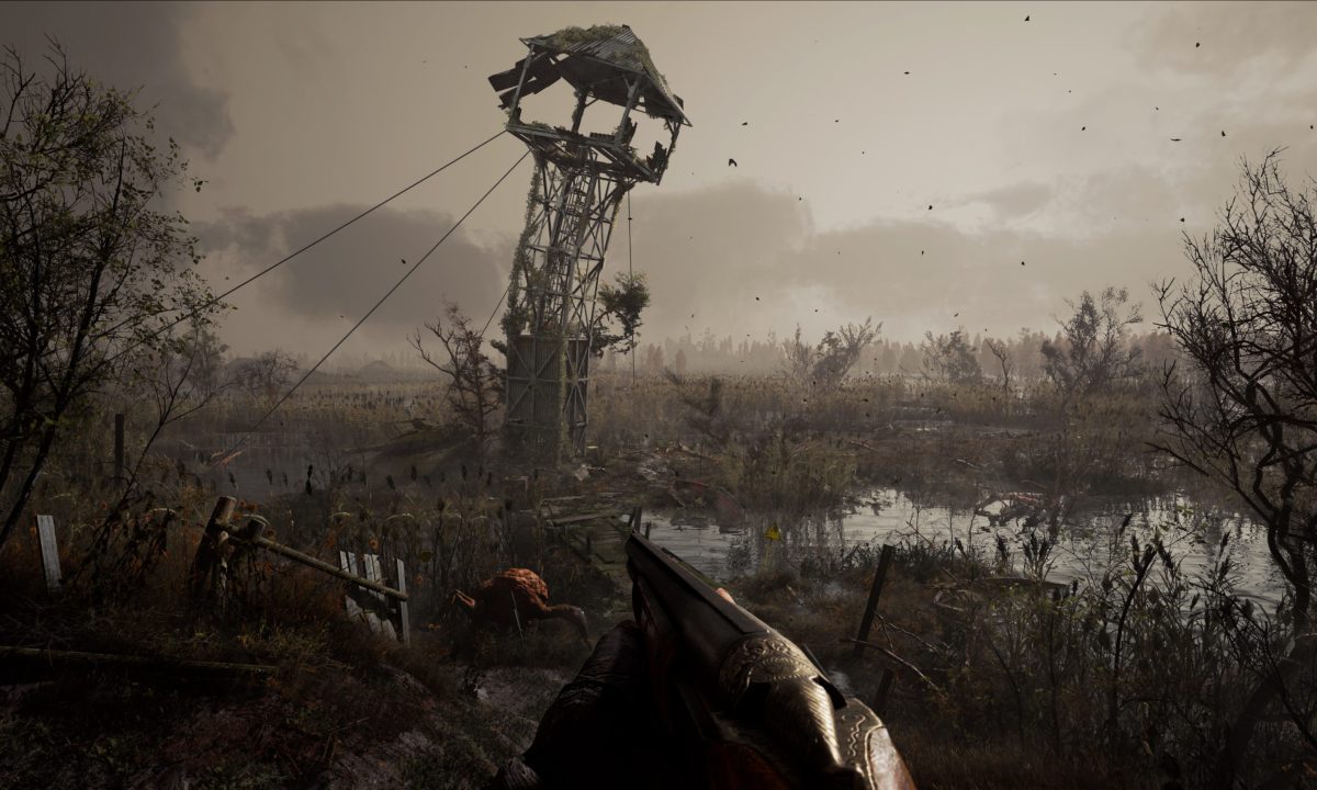 A dreary swamp in Stalker 2.