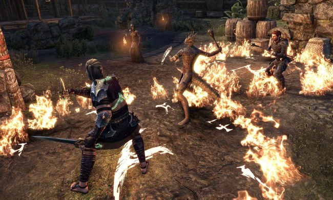 Elder Scrolls Online player fighting with a Companion.