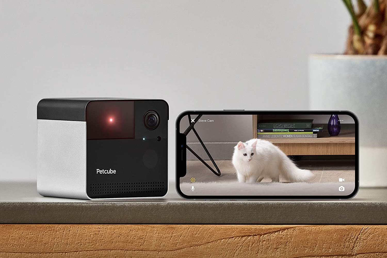 Petcube play hot sale camera