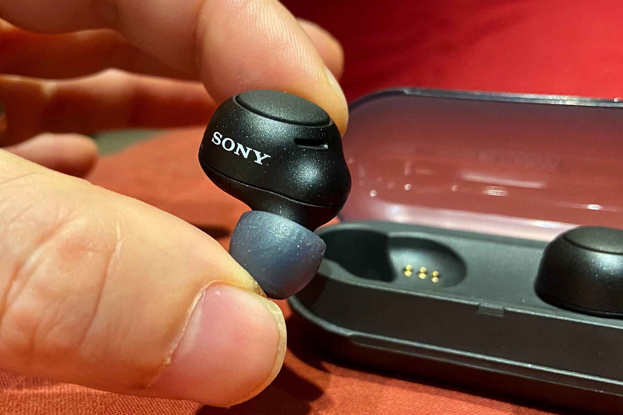 Sony WF-C500 wireless earbuds review: brilliant budget buds