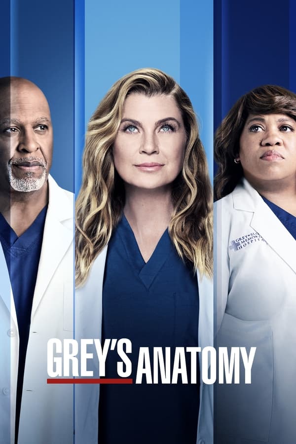 L'anatomie de Grey