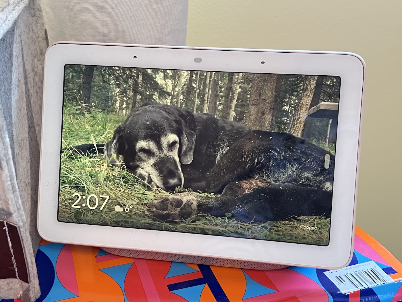 How to put photos on best sale google hub