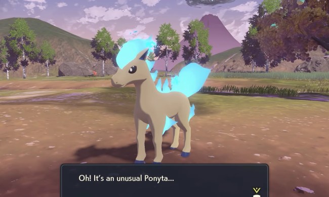 A shiny ponyta.