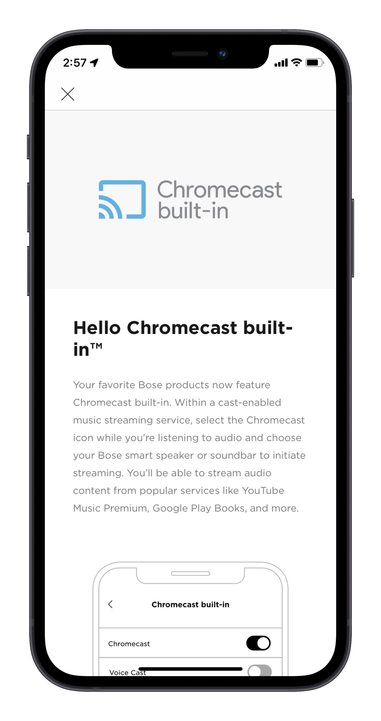 bose home speaker 300 chromecast