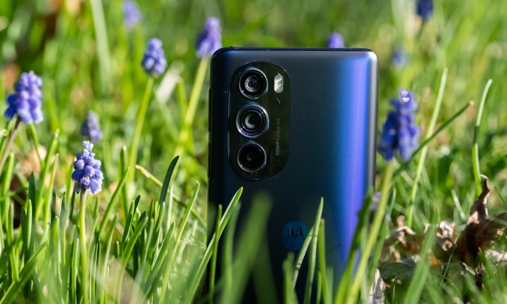 Motorola Edge+ (2022) in a patch of bluebell flowers.