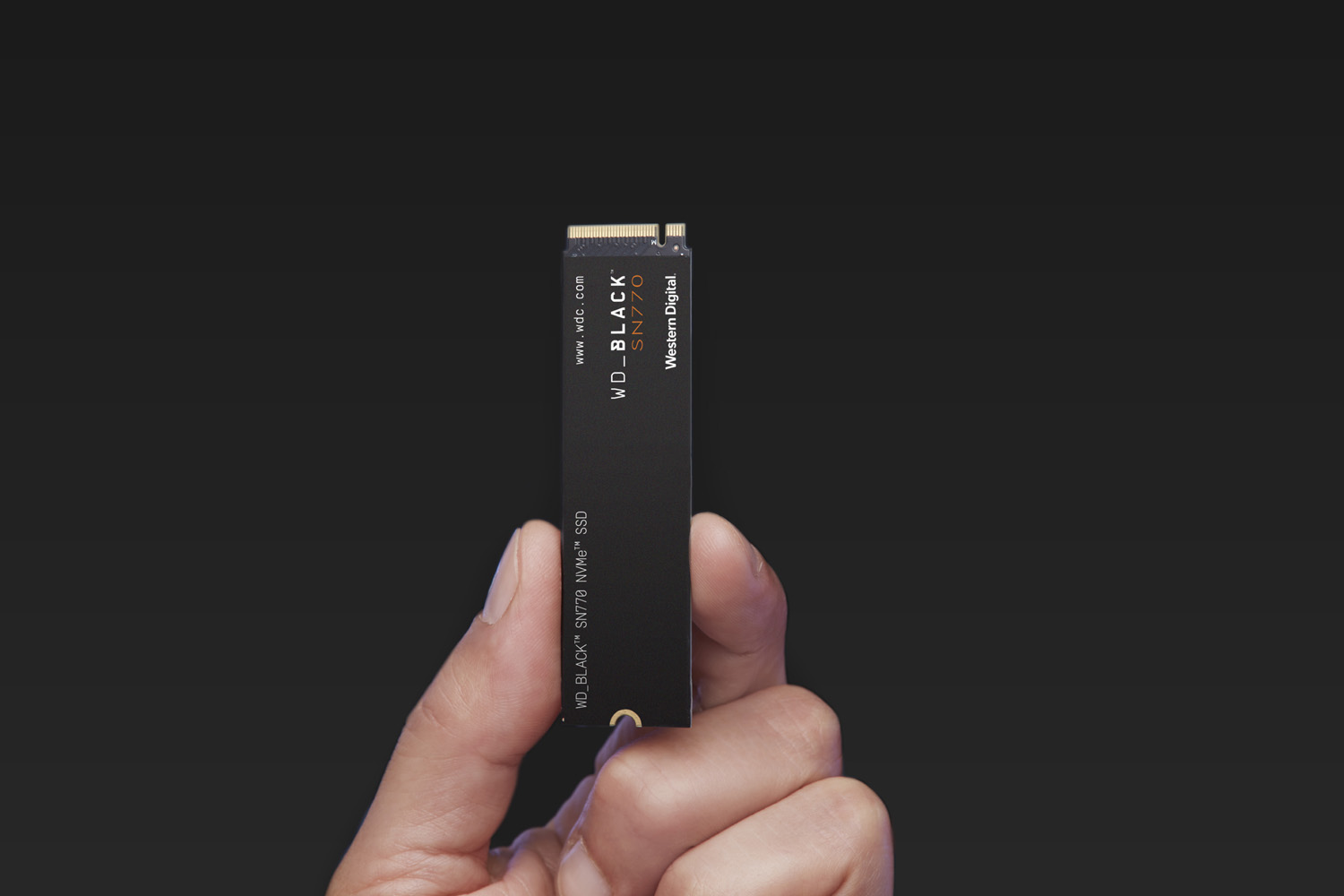 A person holding the WD Black SN770 gaming SSD.