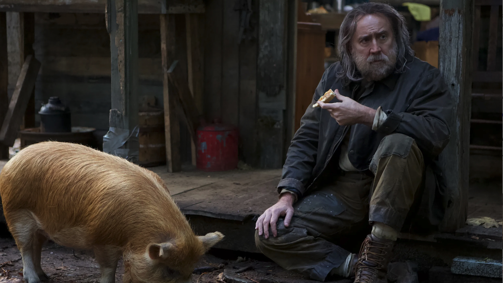 Nicolas Cage estrela Pig, dirigido por Michael Sarnoski.