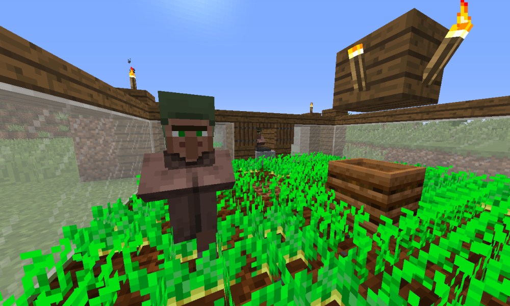 A villager standing in a farm.