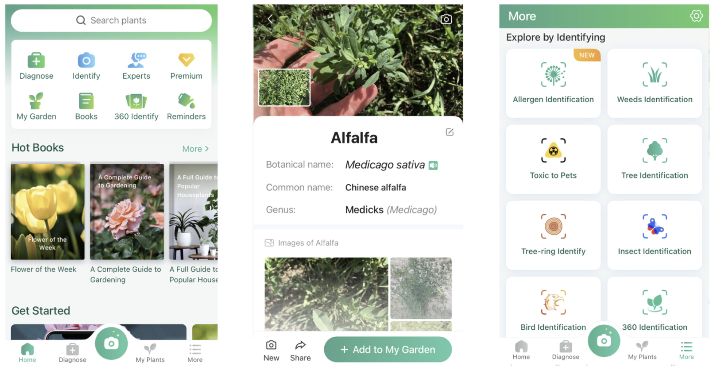 I tried 3 plant identification apps, and one was deadly | Digital Trends