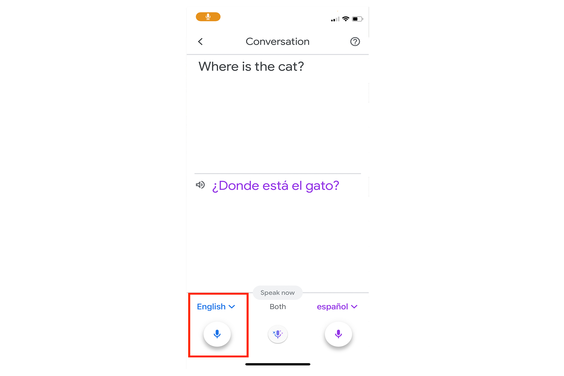 How to remove el gato from a another video｜TikTok Search