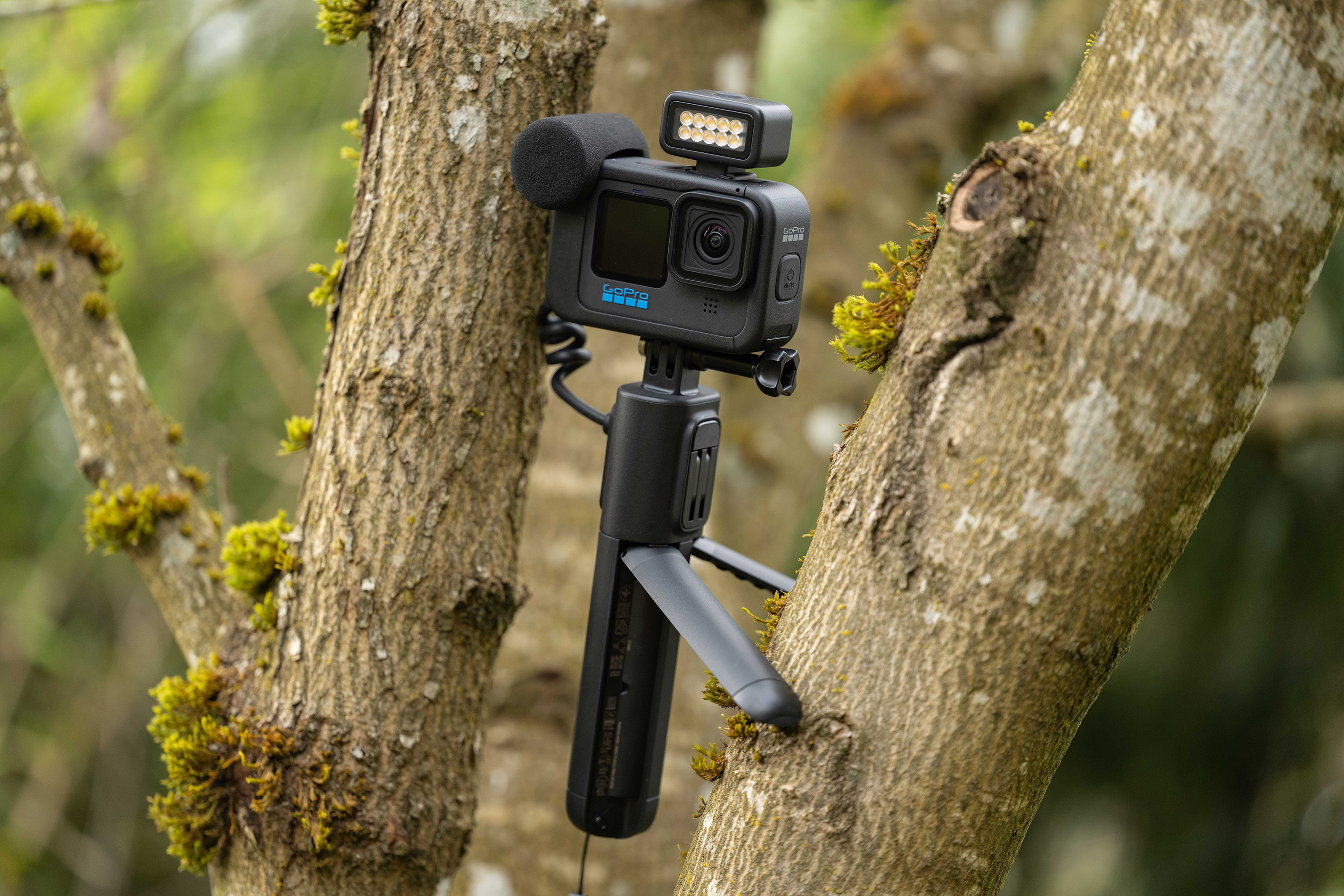 The GoPro Hero 10 Creator Edition in a tree.