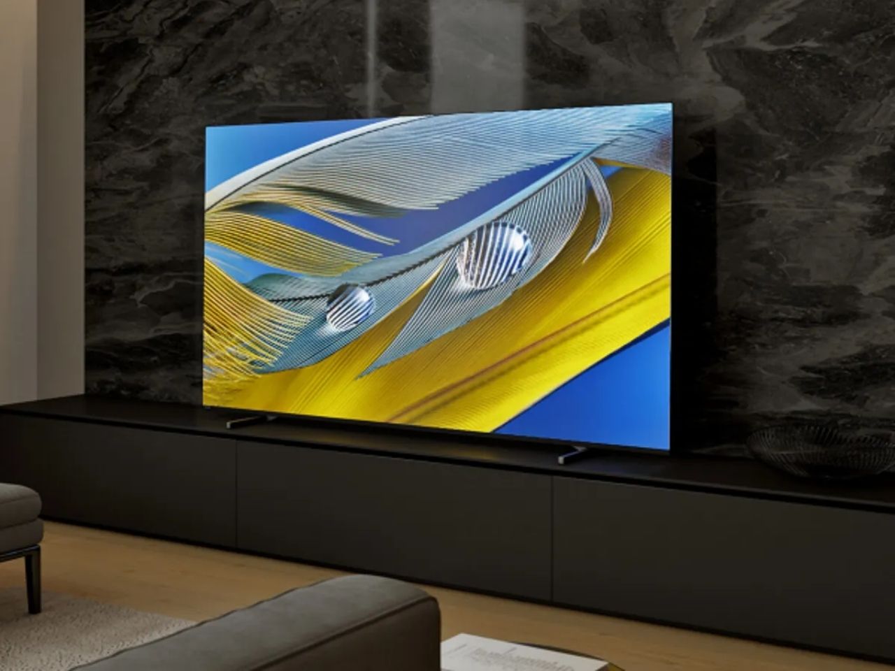 Sony 55-inch Bravia OLED TV in living room.