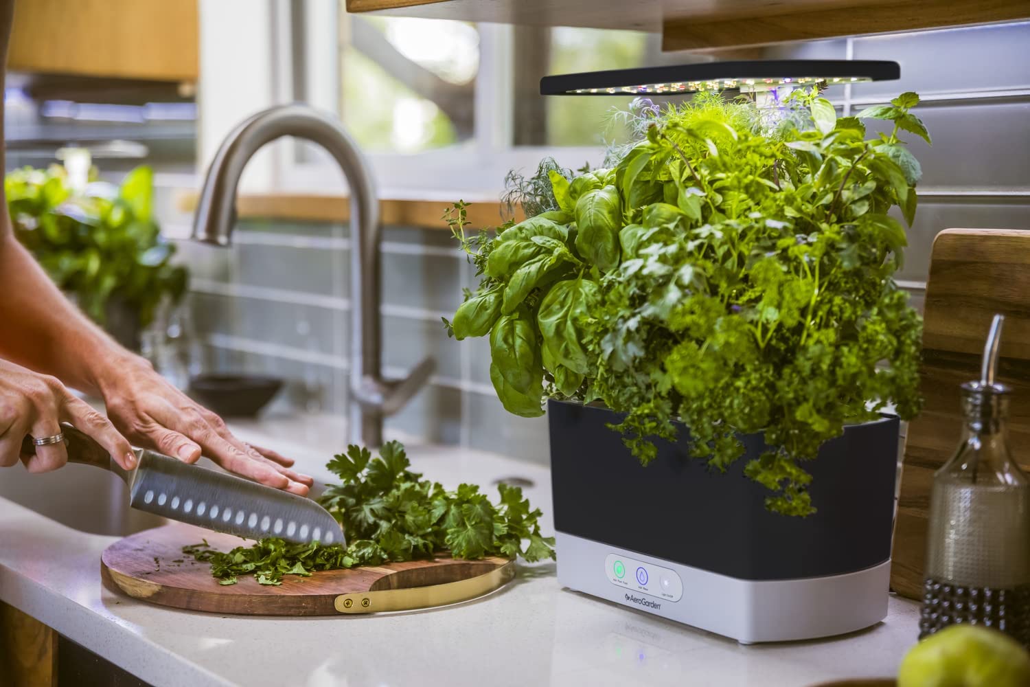 AeroGarden Smart Garden Review hydroponics for dummies Digital