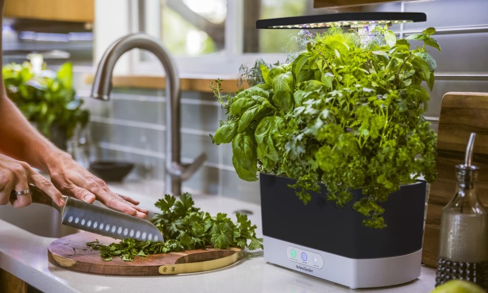 The AeroGarden Harvest on a countertop beside the sink.