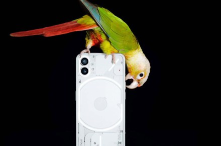Can you train a parrot to use Alexa, and should you?