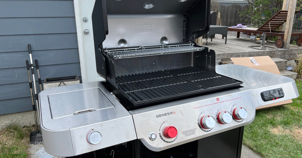 The 8 Best Weber Grills of 2024, Tested & Reviewed