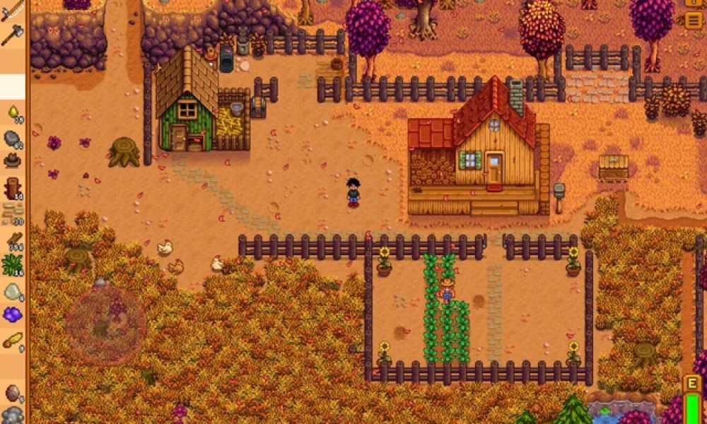 House in Stardew Valley.