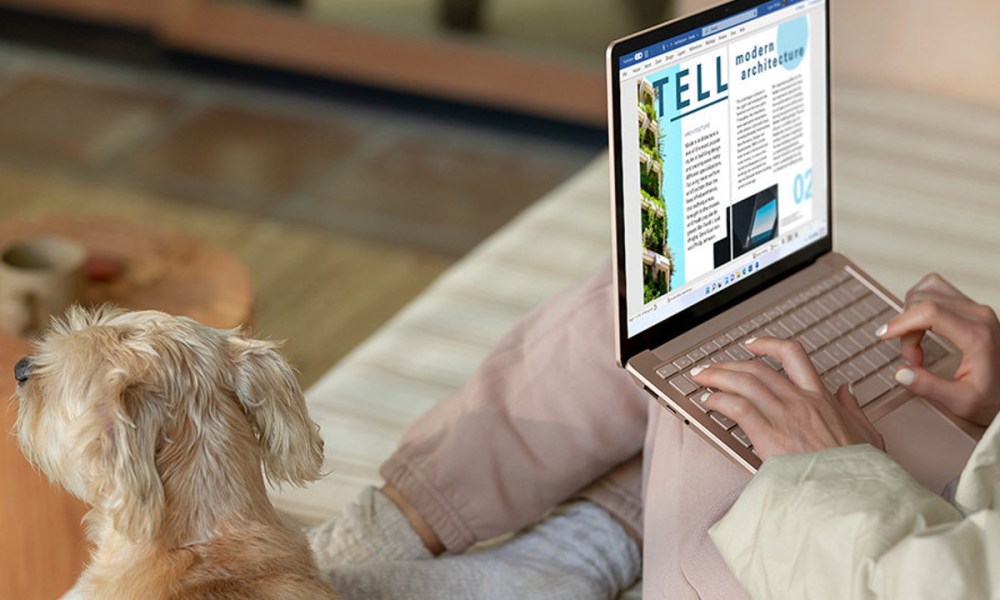 Using a Microsoft Surface Laptop 4 sitting on a couch with a dog.