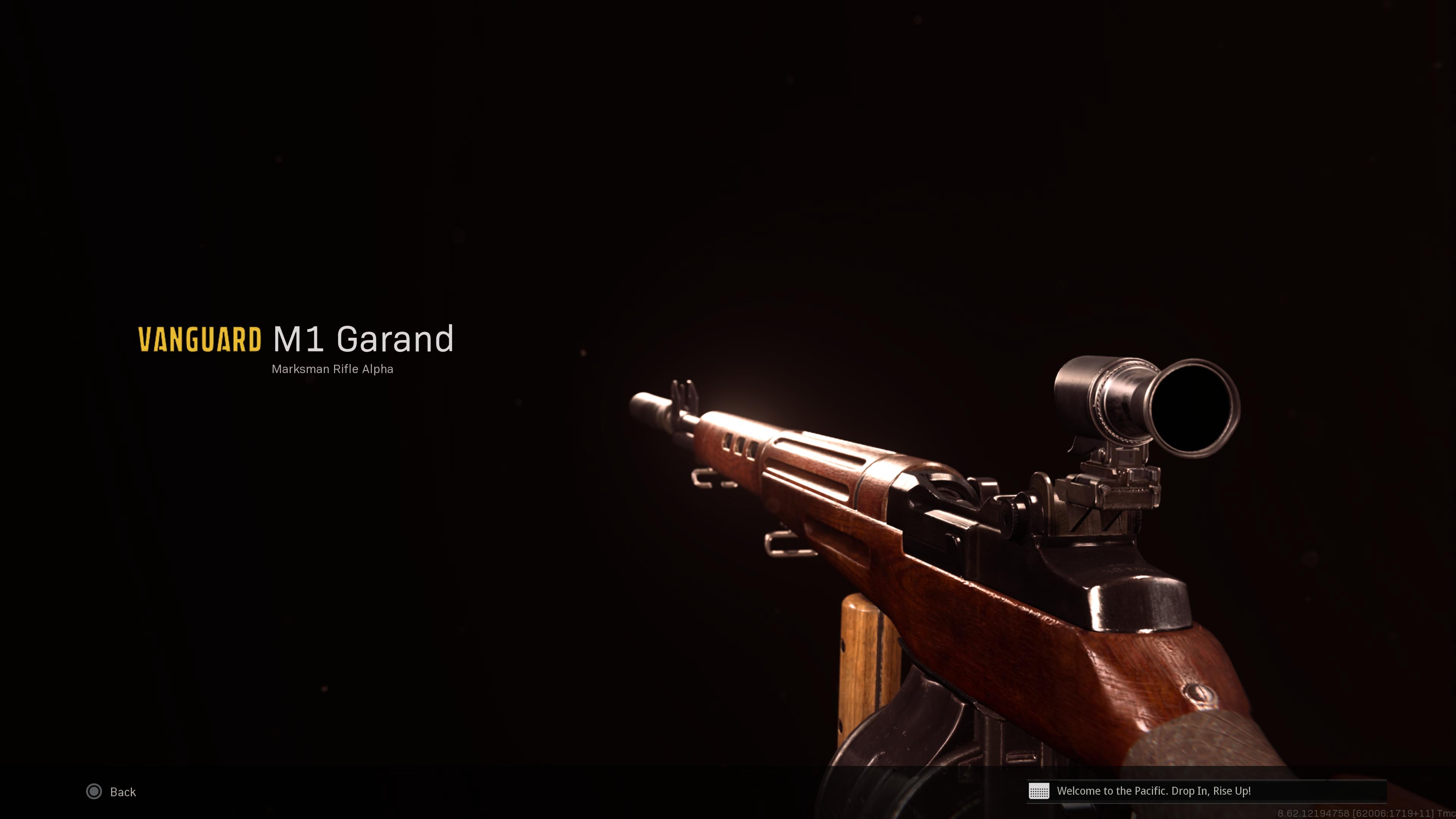 The M1 Garand in Warzone.