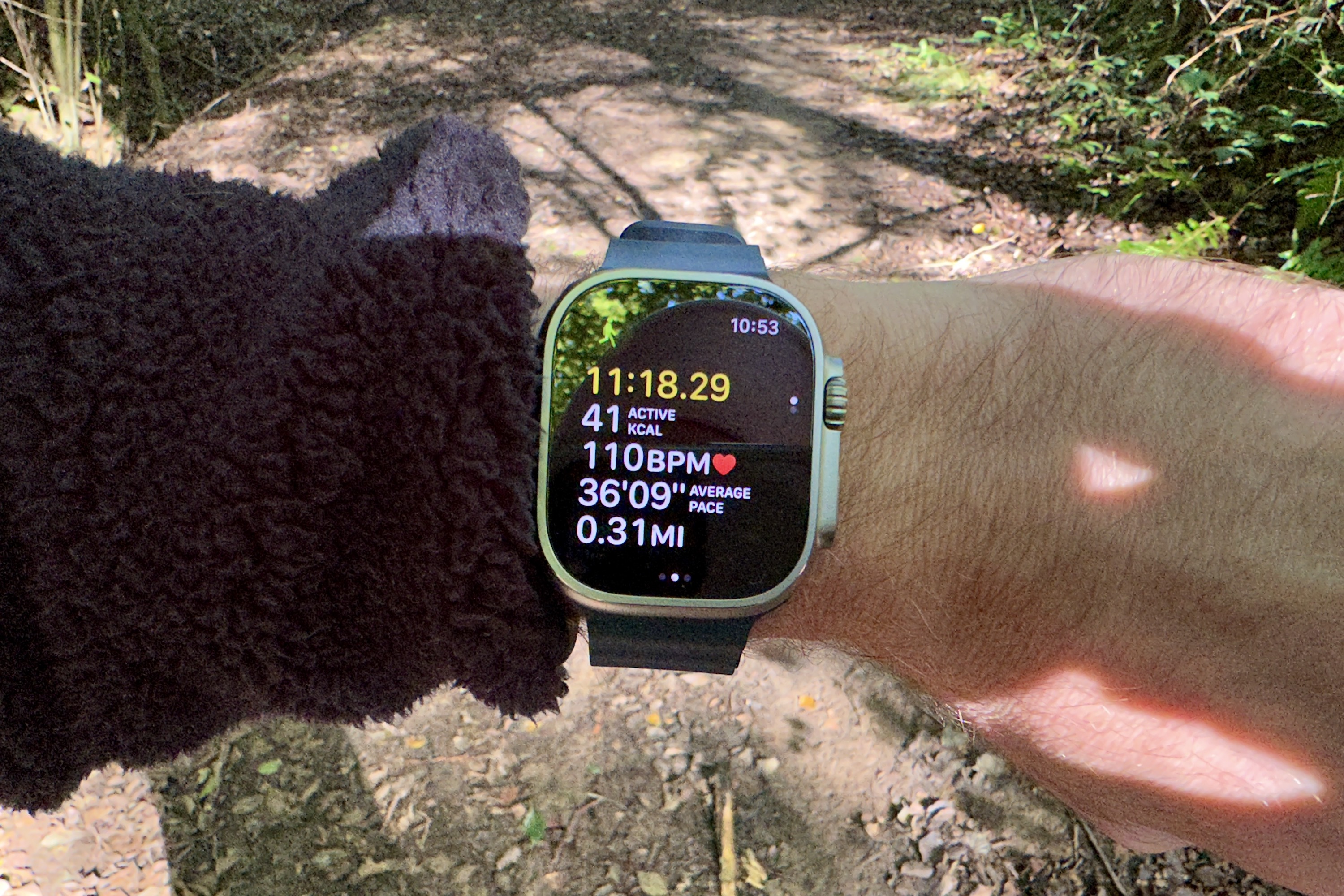 How to use apple watch for exercise hot sale