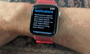 Apple Watch notifications on hand feat image.