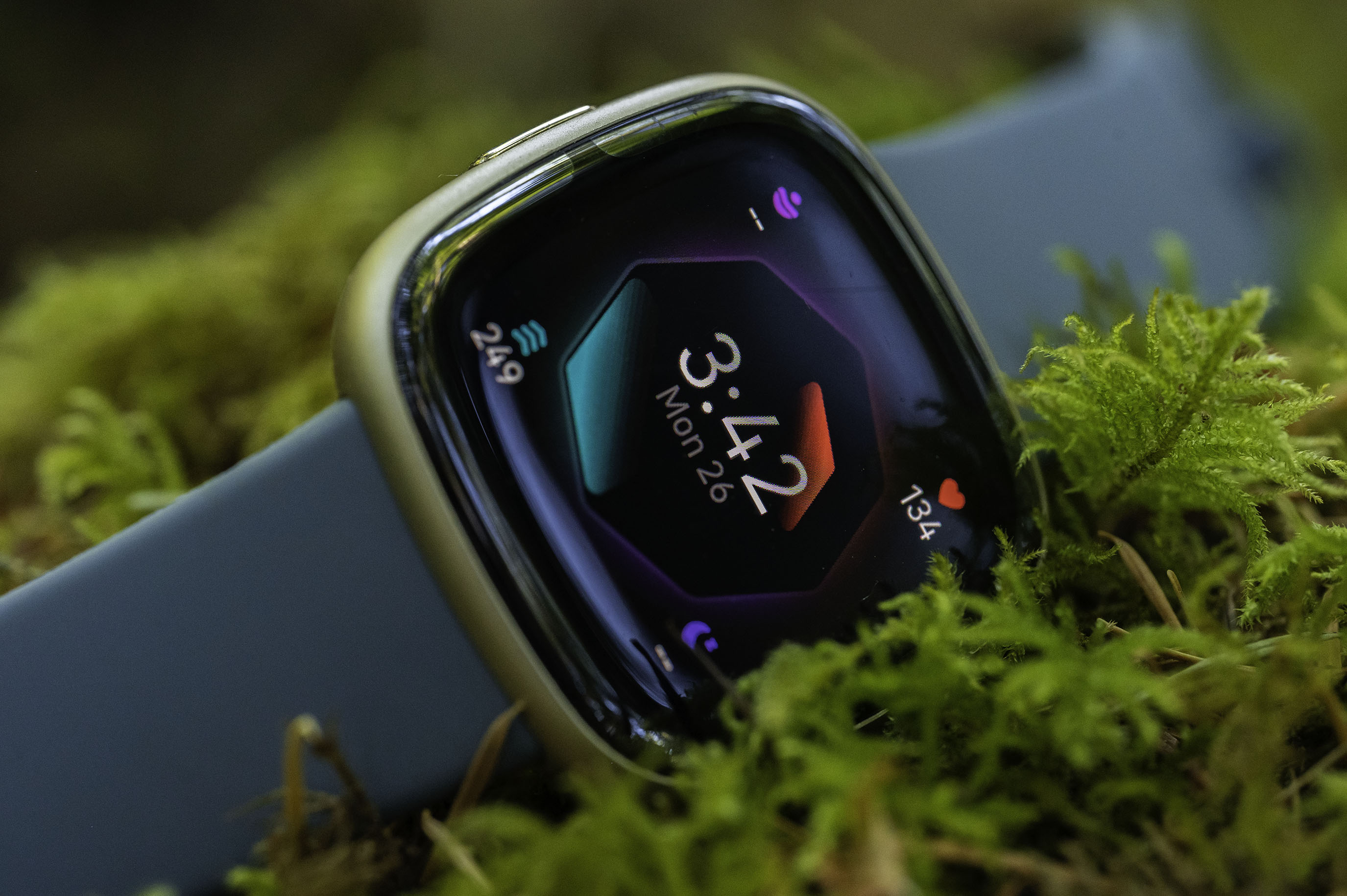 7 Key Differences Between Fitbit Sense And Apple Watch