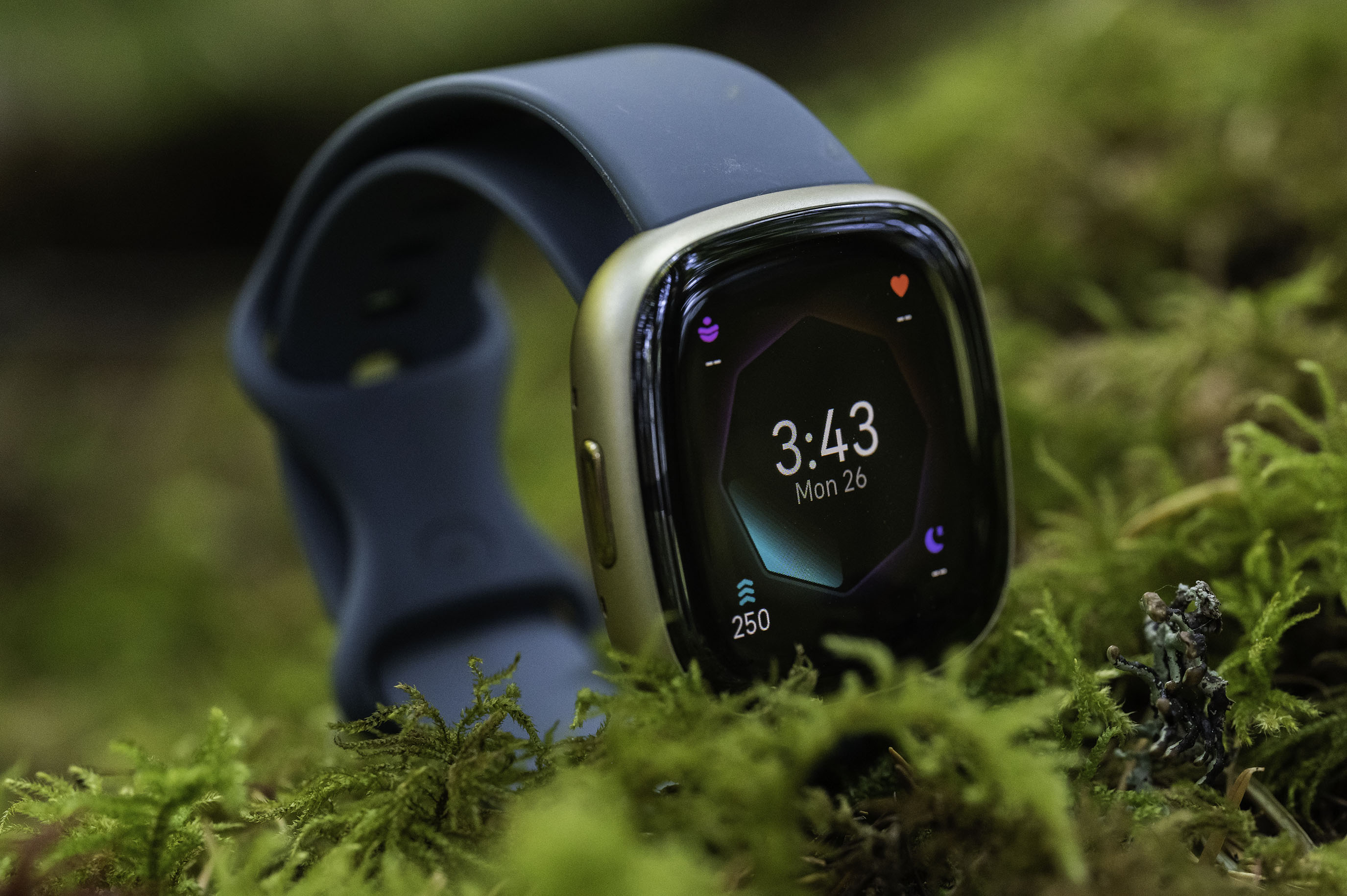 Fitbit Versa 2 Health & Fitness Smartwatch - Black/Carbon Aluminum -  Walmart.com