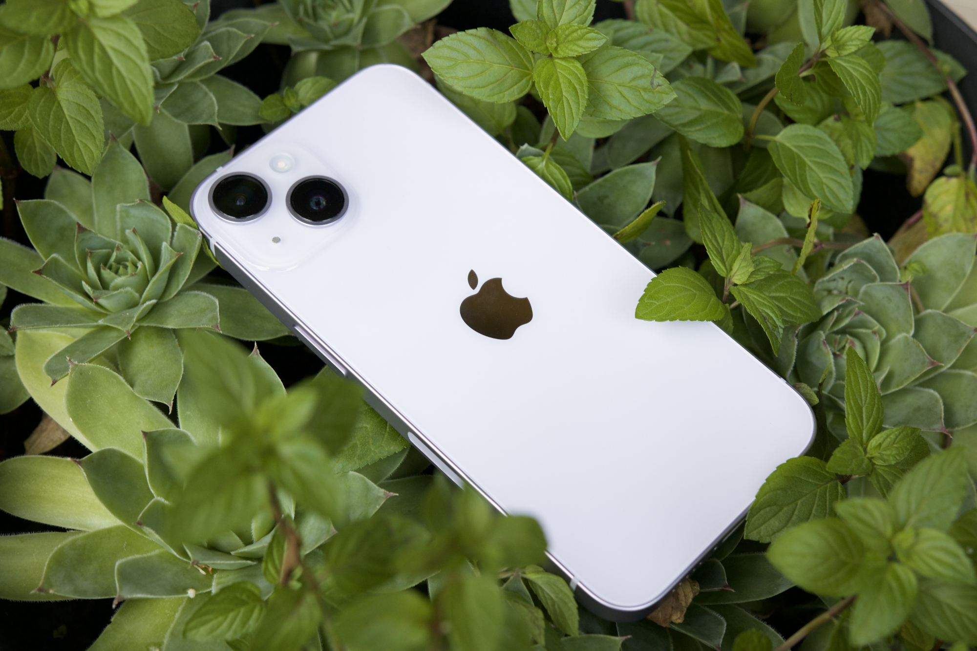 iPhone 14 mini — here's why the iPhone 14 Max is likely replacing it
