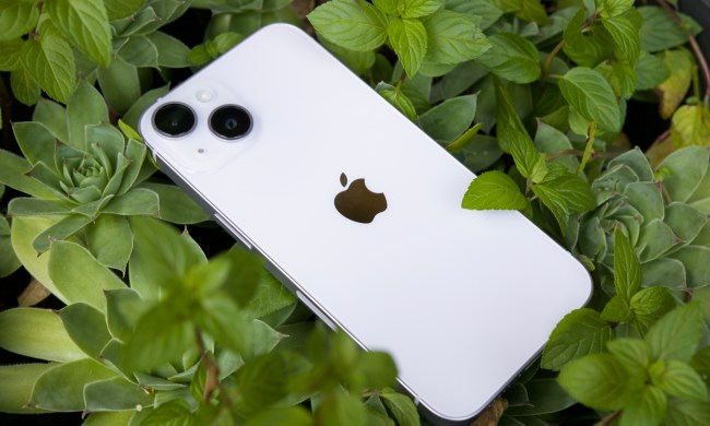 iPhone 14 laying in a succulent.