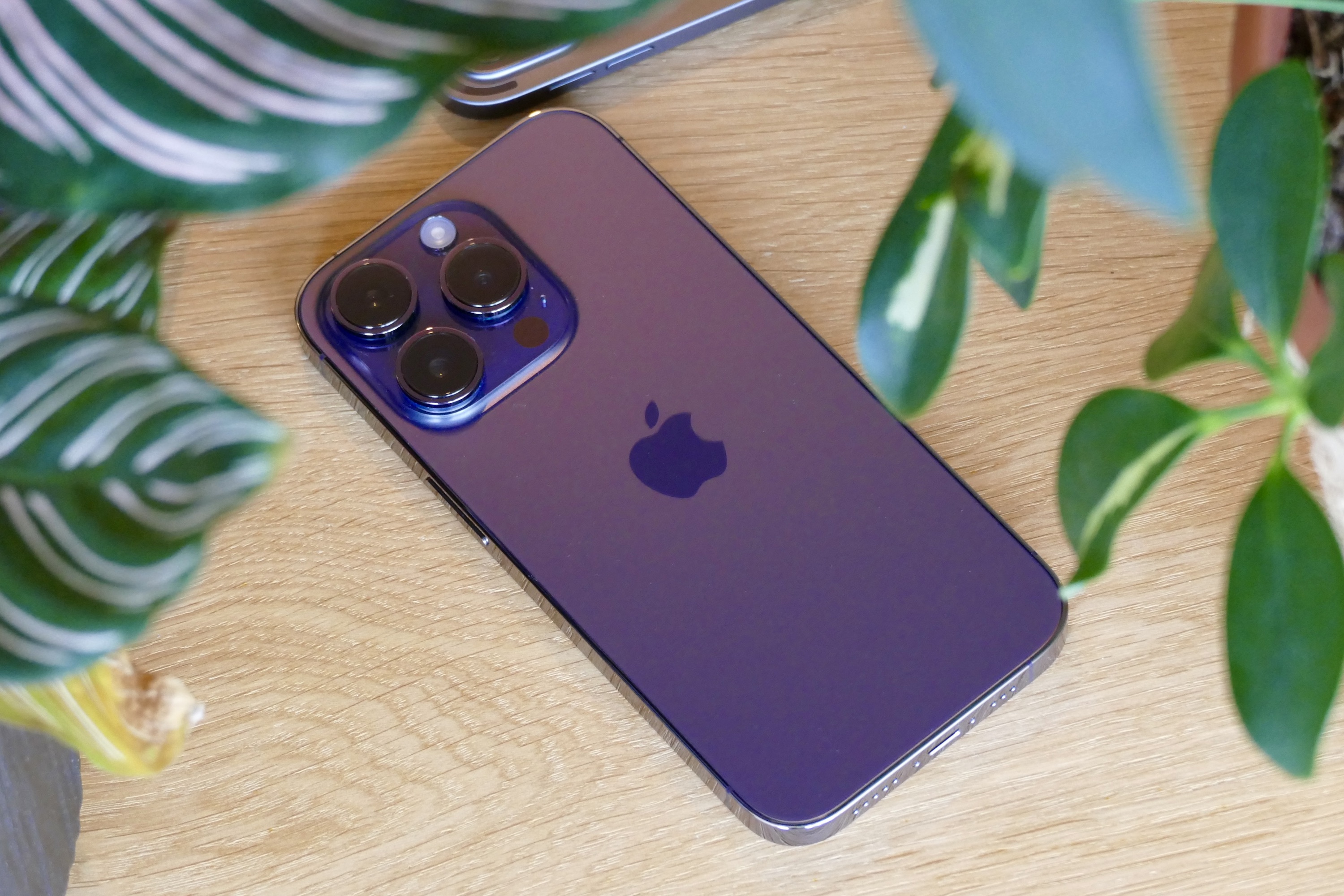 iPhone 14 Pro and Pro Max review: The future of the iPhone is big