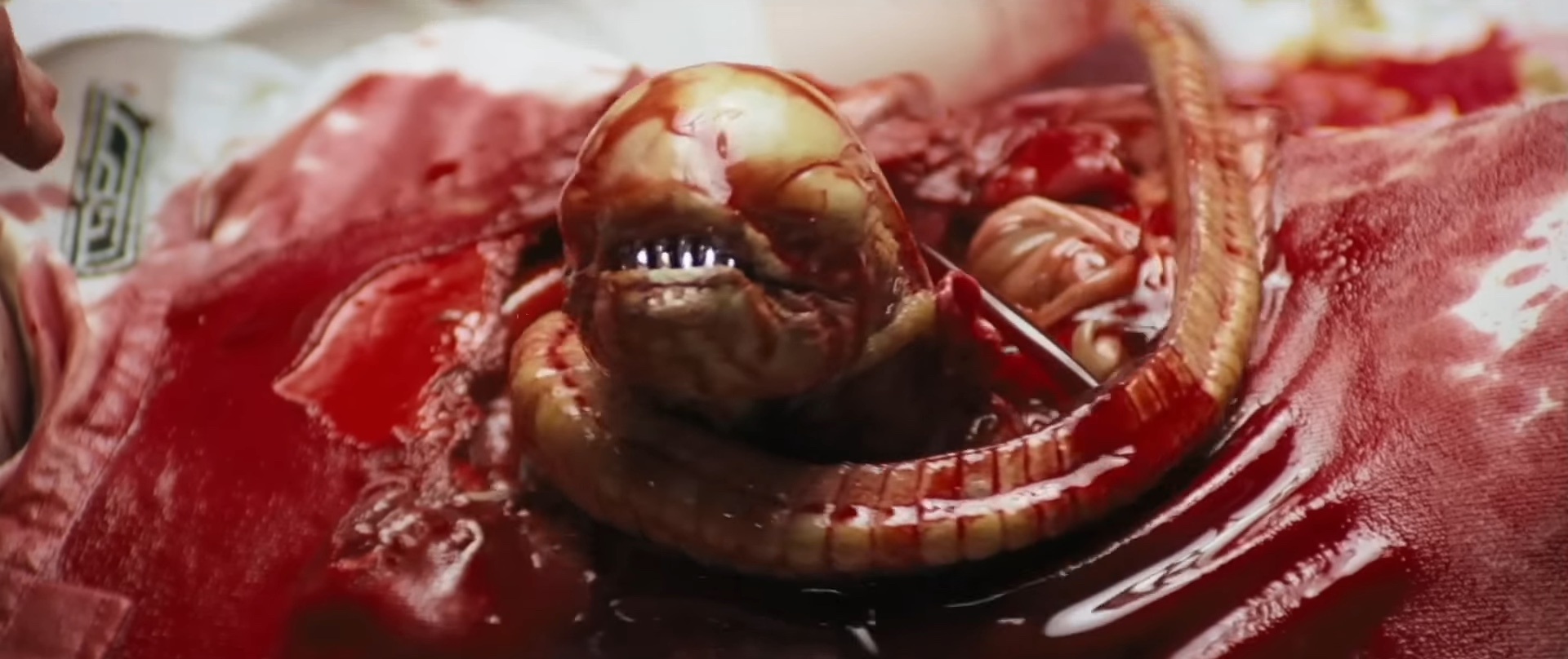 chestburster-alien