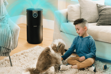 This powerful Shark air purifier is $100 off in the Prime Early Access Sale