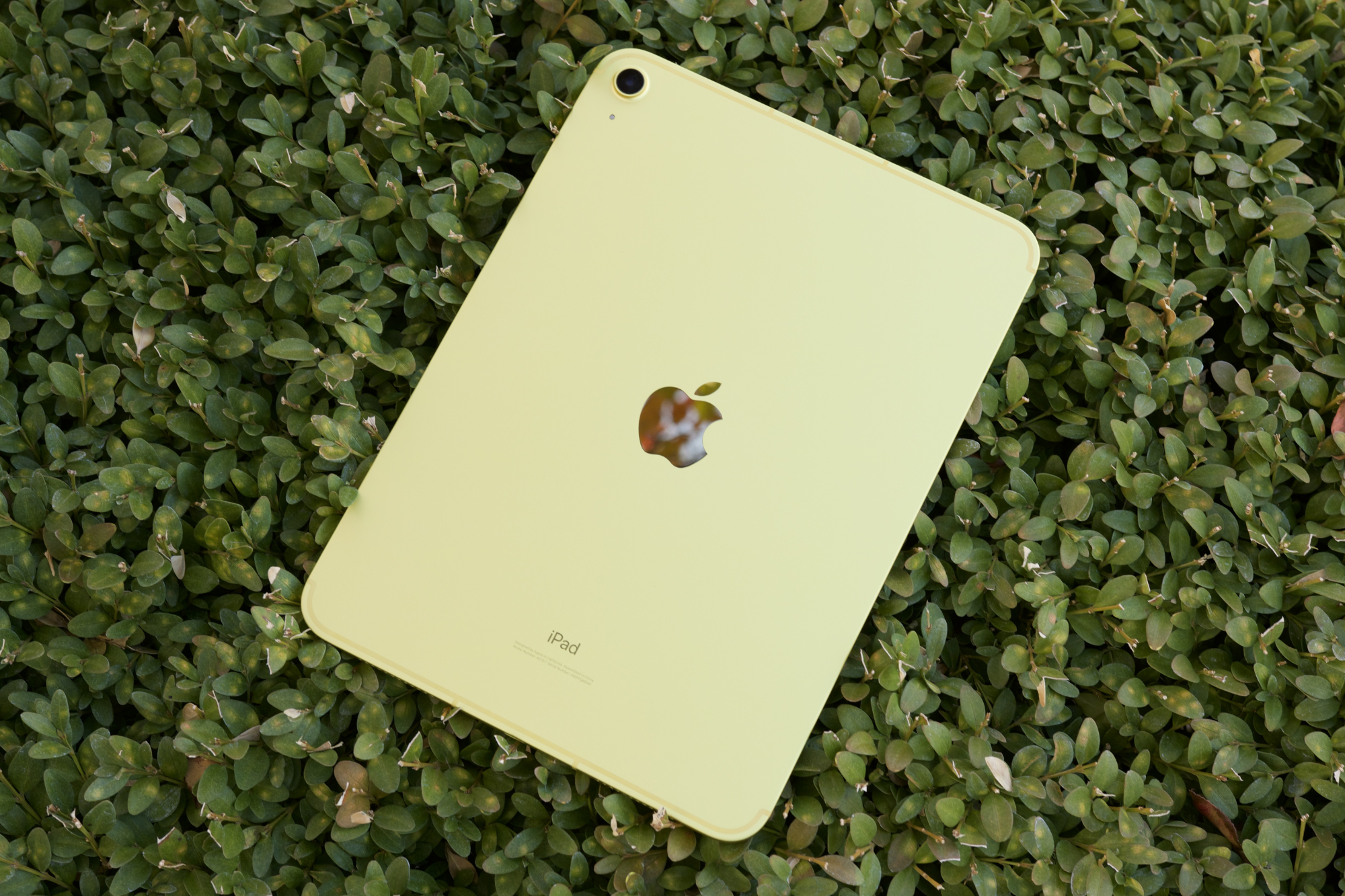 Желтый iPad (2022) лежит экраном вниз на зеленом кусте.