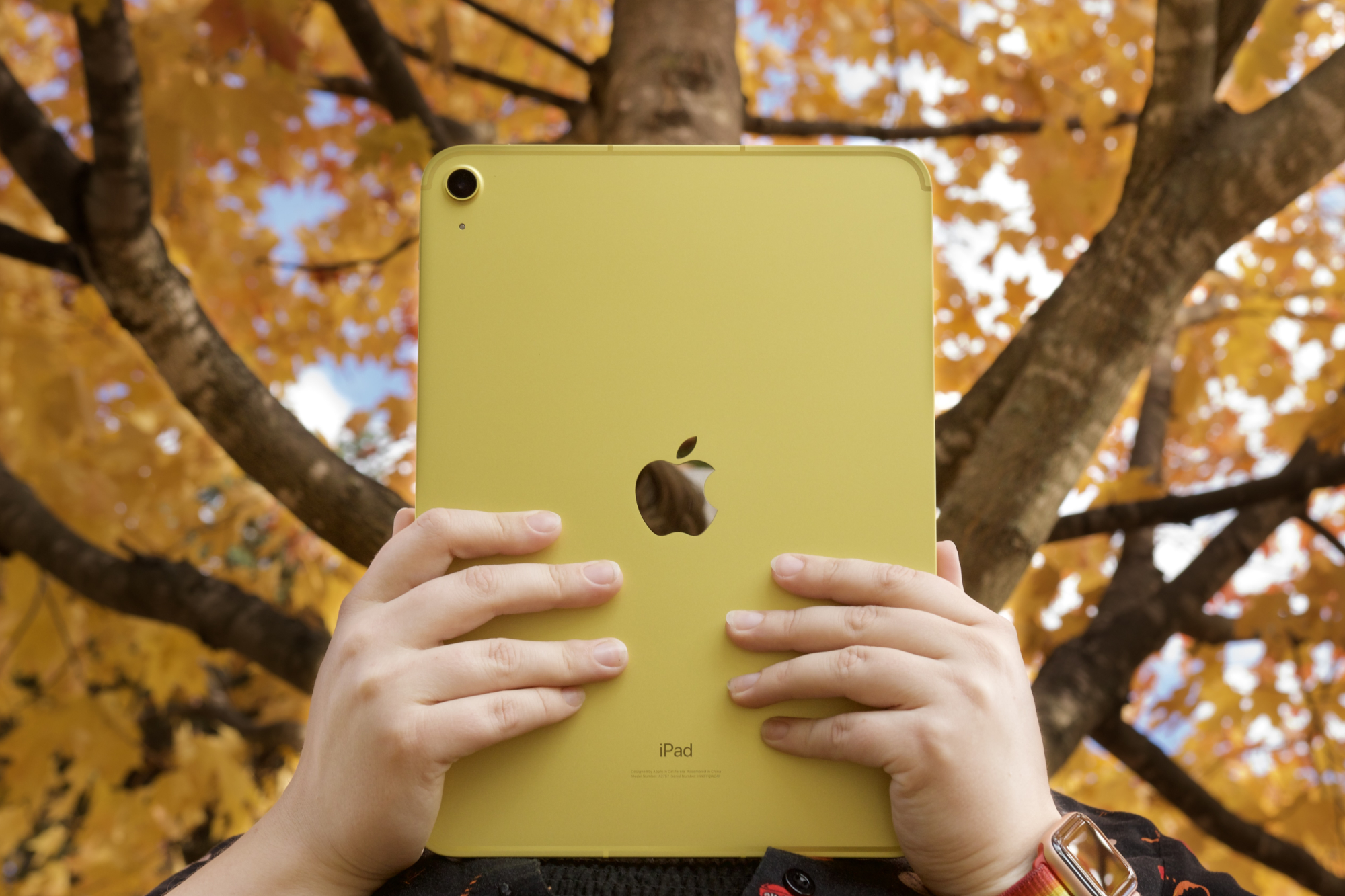 Genuine Apple iPad Smart Folio for iPad 10th Generation - Multiple