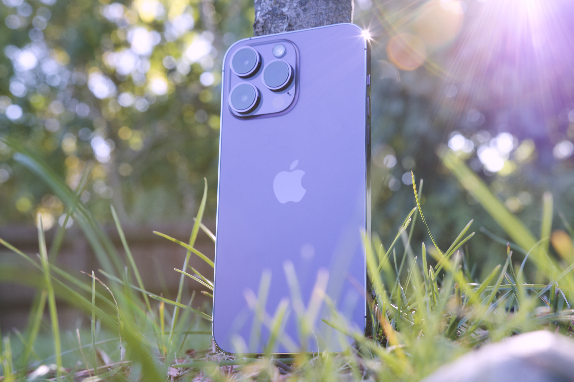 Apple iPhone 14 Pro Max review: nearly perfect | Digital Trends