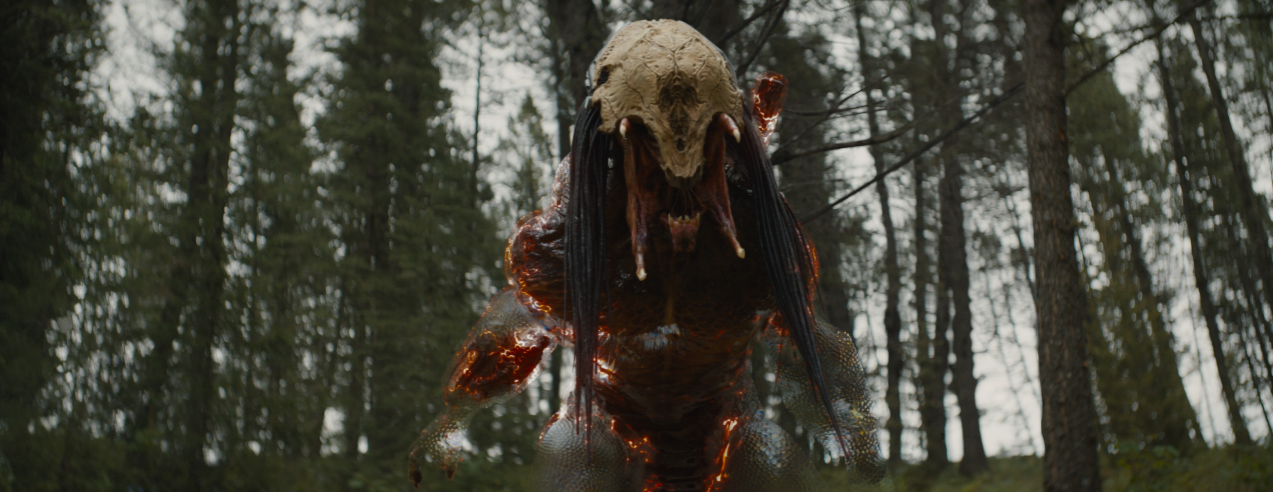 A shot of the Predator de-cloaking in a scene from Prey, after visual effects are applied.