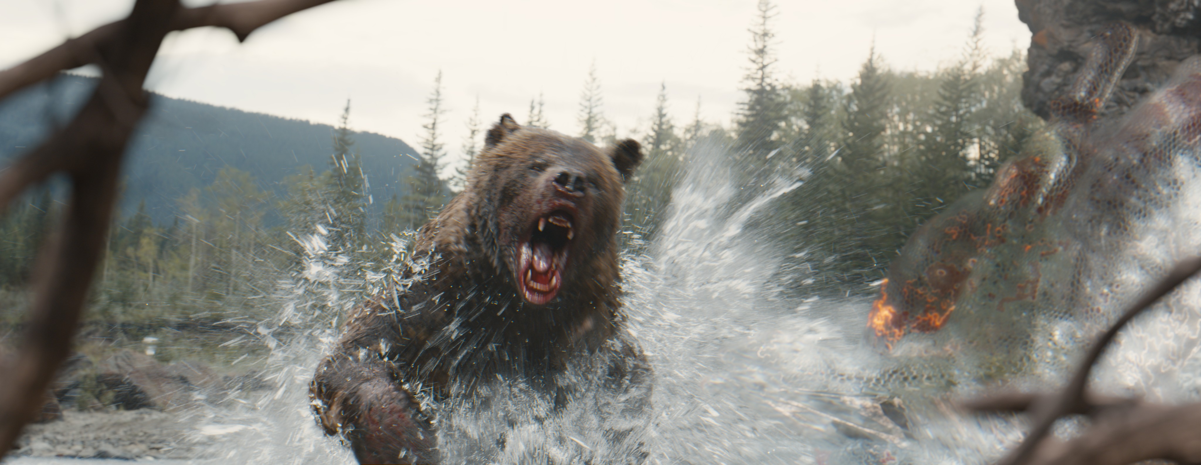 A bear rushing through the water toward a cloaked Predator alien in a scene from Prey.