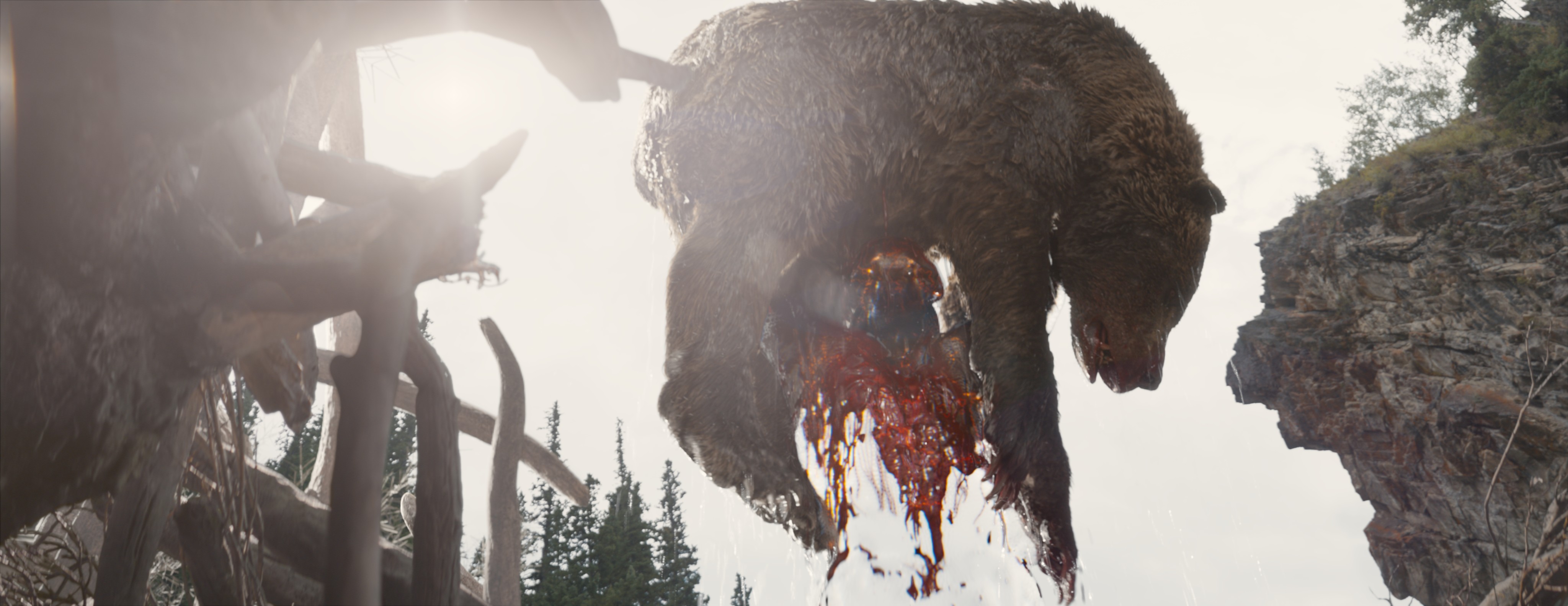 A partially cloaked Predator alien holds a dead bear aloft in a scene from Prey.