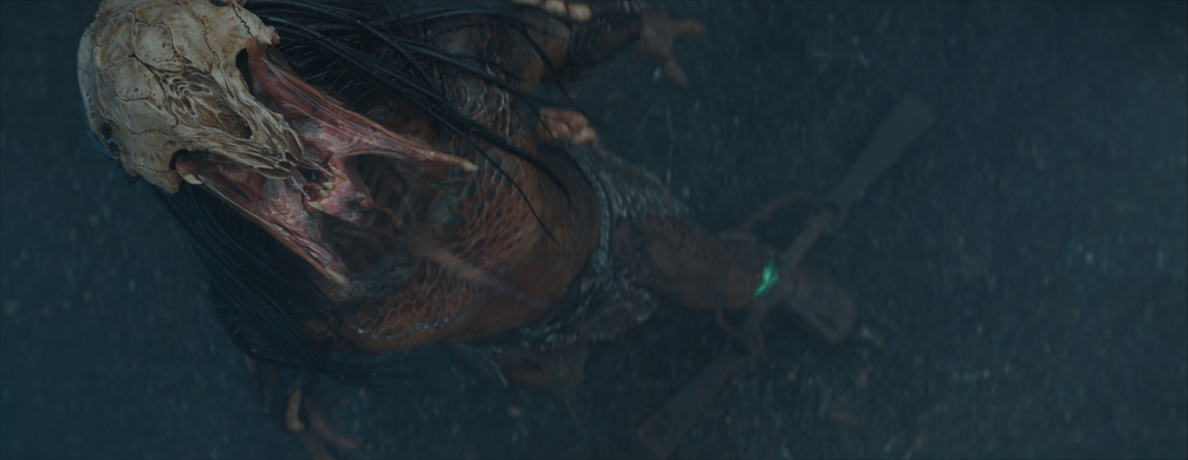 An overhead shot of the Predator roaring from the film Prey, after visual effects are applied.