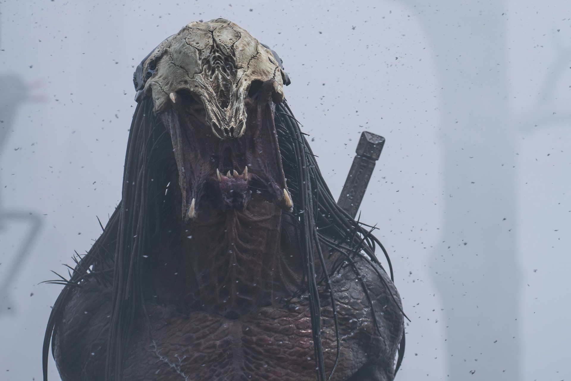 Predator: Badlands director says the titular creature will be the hero. Wait, what?