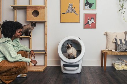 Litter Robot 4 review: a smart, automated pooper-scooper
