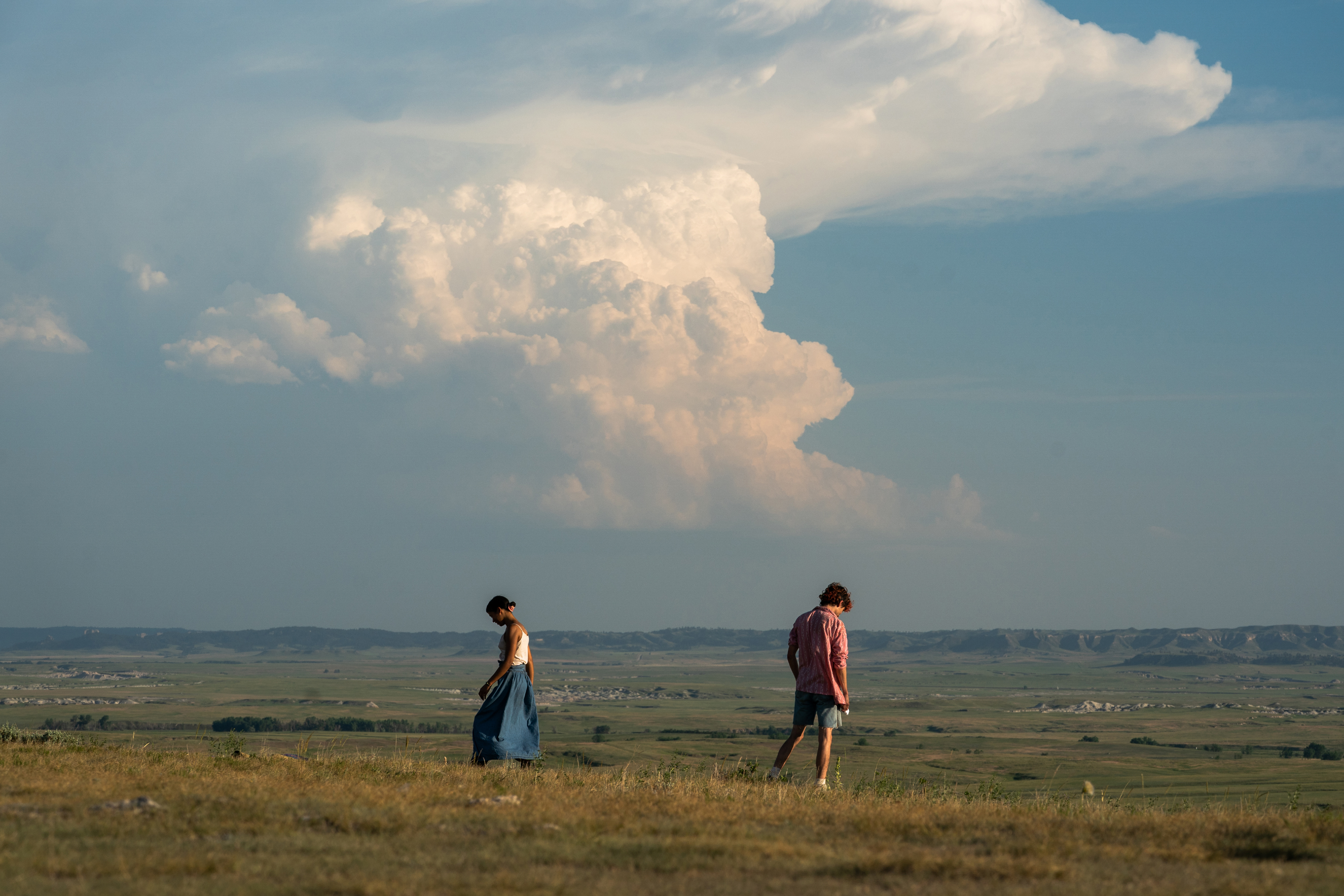 Maren et Lee marchent dans des directions opposées à travers les plaines du Midwest dans Bones and All.