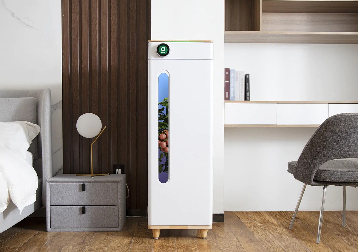 The Abby Grow Box in a modern home.