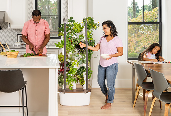 Best Indoor Smart Gardens | Digital Trends