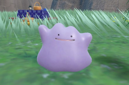 Where to find Ditto in Pokémon Scarlet and Pokémon Violet