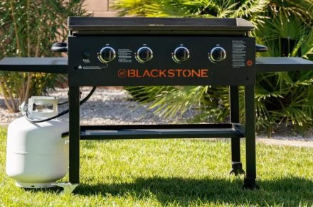 Walmart just slashed the price of this Blackstone grill