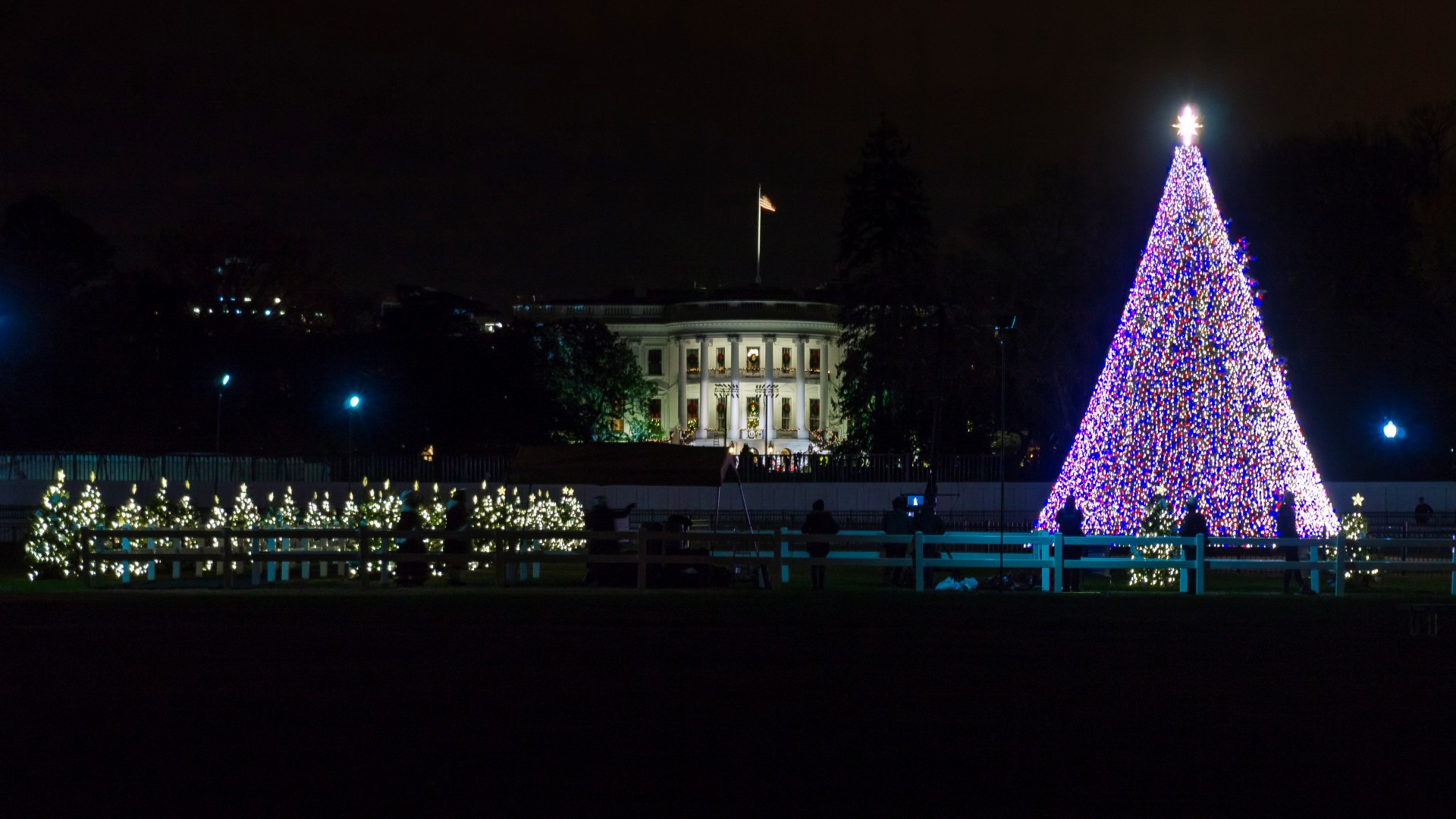 Where to watch the National Christmas Tree Lighting Ceremony Techno